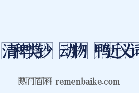 清稗类钞·动物·鸭近义词是什么意思的图片